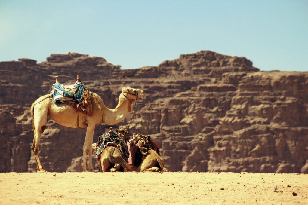 Jordania