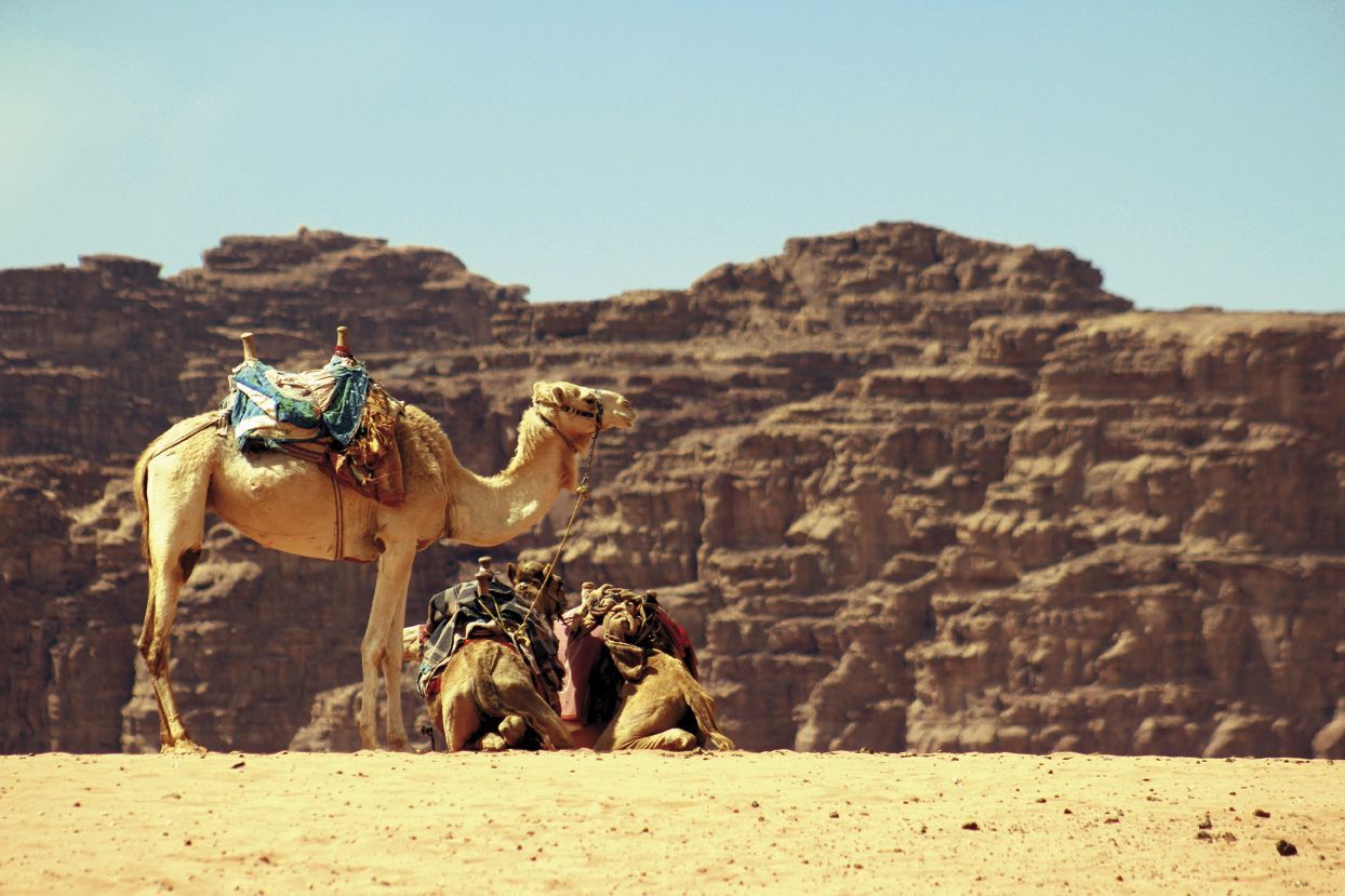 Jordania