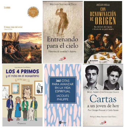 libreria 81